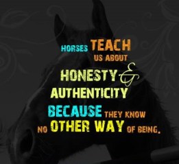 horses teach us about (2)