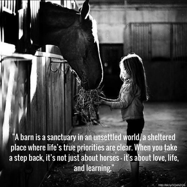 a barn is a sanctuary